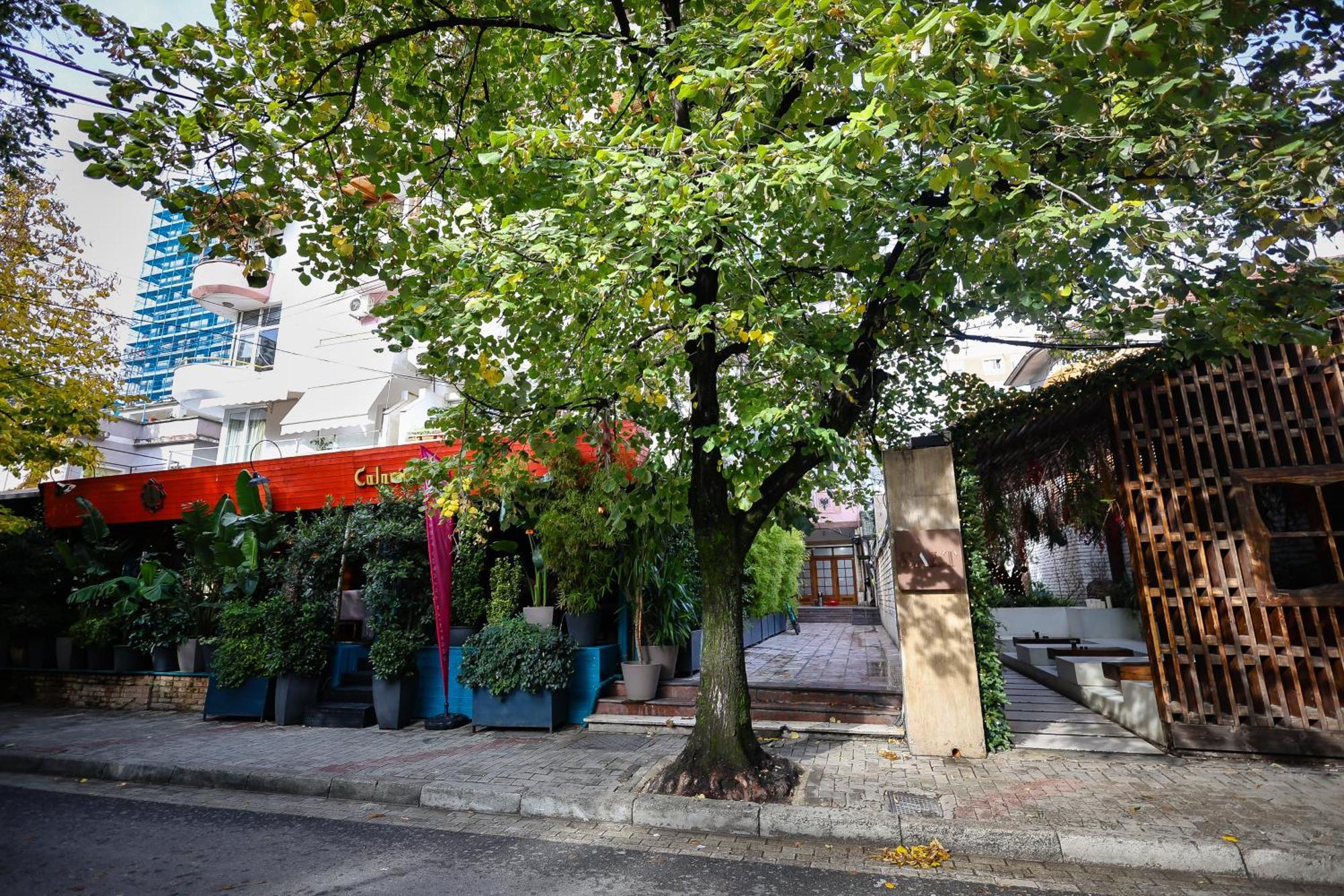 Noela'S Place Tirana Exteriör bild